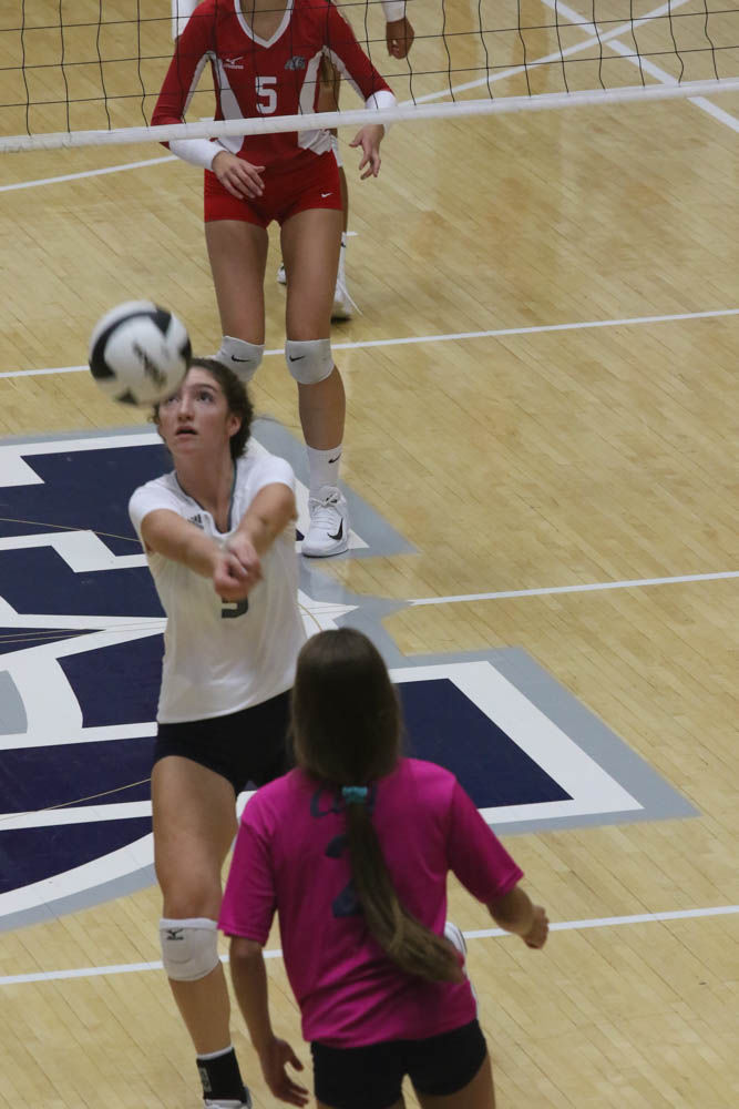 Gallery: Girls volleyball - Crown Point at Michigan City